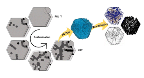 On the properties and origin of mesopore morphologies in dealuminated Faujasite Y zeolites