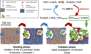 High-temperature phase evolution in CuO/Al2O3 oxygen carriers: insights from in situ quick XAS