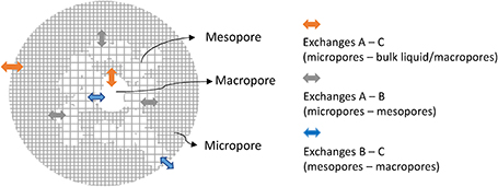 Connectivity assessment in hierarchical zeolites by correlating nuclear magnetic resonance, electron microscopy/tomography and adsorption scanning