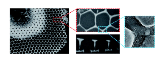 3D multiscale analysis of the hierarchical porosity in Coscinodiscus sp. diatoms using a combination of tomographic techniques