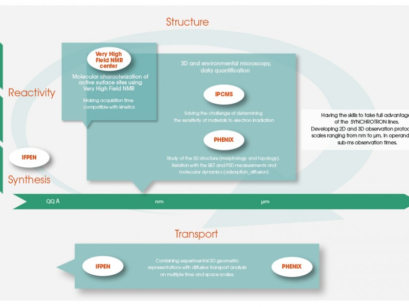 Infographic: synergy between the different partners