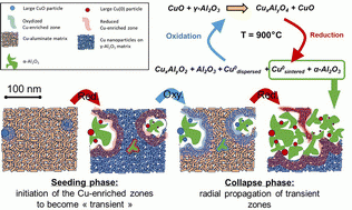 High-temperature phase evolution in CuO/Al2O3 oxygen carriers: insights from in situ quick XAS