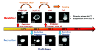 In situ STEM study on the morphological evolution of copper-based nanoparticles during high-temperature redox reactions