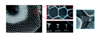 3D multiscale analysis of the hierarchical porosity in Coscinodiscus sp. diatoms using a combination of tomographic techniques